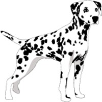 Dalmatian Fire Equipment, Inc. Logo