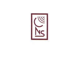 Communication Network Services - CNS Logo
