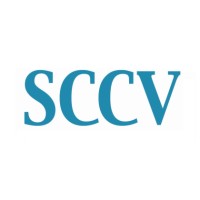 Ventures Logo
