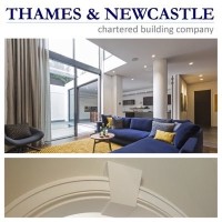 Thames & Newcastle Ltd. Logo