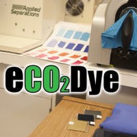 eCO2Dye Logo
