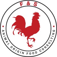 F&S Consulting Logo