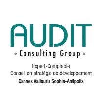 AUDIT CONSULTING GROUP. Logo
