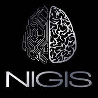 NIGIS VR Logo