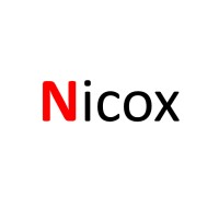 Nicox IT Solutions Private Limited Logo