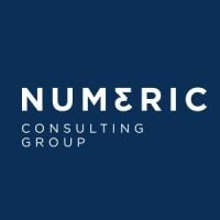 Numeric Consulting Group Logo