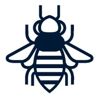ALVEUS Logo