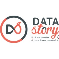 Data Story Logo