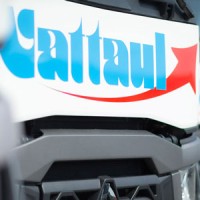 Wattaul Transporte Logo