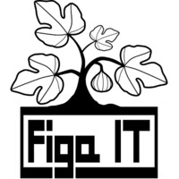 Figa IT d.o.o. Logo