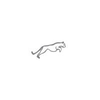 Puma Plastics Solutions Logo