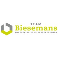 Team Biesemans Logo
