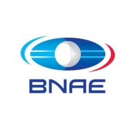BNAE - Bureau de Normalisation de lAéronautique et de lEspace Logo