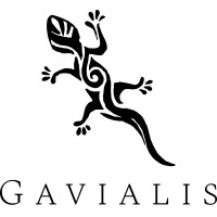 Gavialis Logo