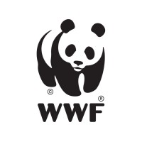 WWF-Belgium Logo
