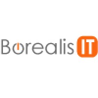Borealis IT Logo