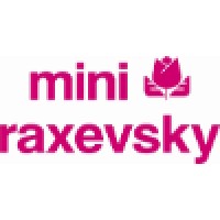 MINI RAXEVSKY S.A. Logo
