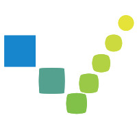 VidyaSoft S.r.l. Logo