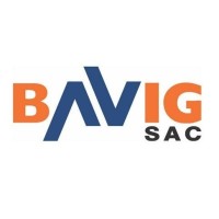 BAVIG SAC Logo