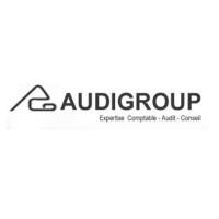AUDIGROUP Logo