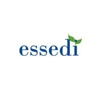 EsseDi IT Consulting Logo