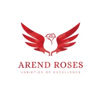 Arend Roses Logo