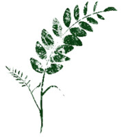 Acacia Gardens Ltd Logo