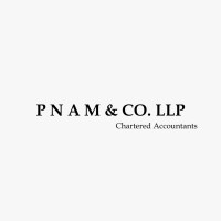 P N A M & Co. LLP Logo