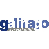 Gallinago Srl Logo