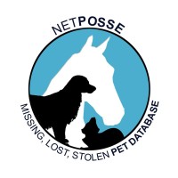 Stolen Horse International, Inc-NetPosse.com Logo