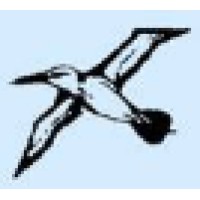 Seagull Global Logistics Logo