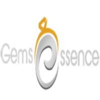 Gems Essence Infotech Pvt Ltd Logo