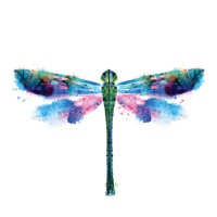 Renegade Digital Media Inc. Logo