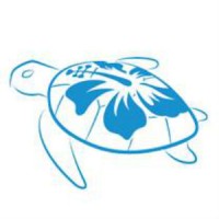 Blue Turtle Dental Logo