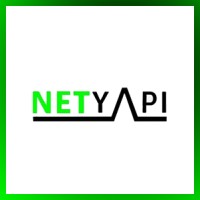 Net Yapı Logo