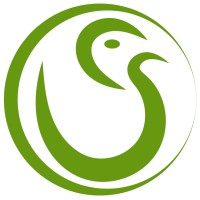 WordPress Design and Development - Cori Snedecor Logo