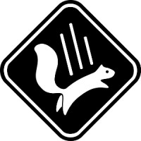 Falling Squirrel Inc. Logo