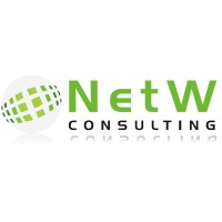 NetW Consulting Logo