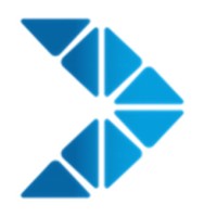 Dynamus Strategic Solutions Inc. Logo