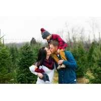 Amanda Reed Photo, LLC. Logo