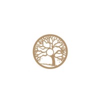 Twenty First Century Herbs Logo