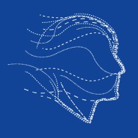 Bluenumber Logo
