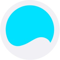 Netwave Interactive Logo