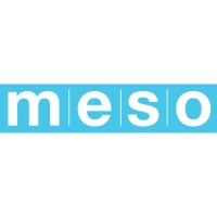 MESO Marketing Logo
