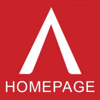 Homepage IT Solutions Logo