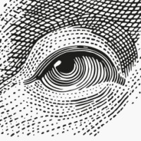 Follow the Money Logo