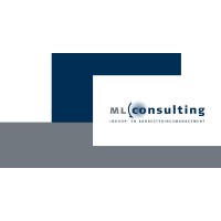 ML Consulting BV Logo