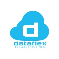 Dataflex.pro Logo