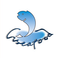 VISEAFOOD INTERNATIONAL LIMITED Logo