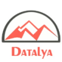 Datalya Logo